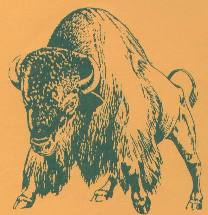 Buffaloes
