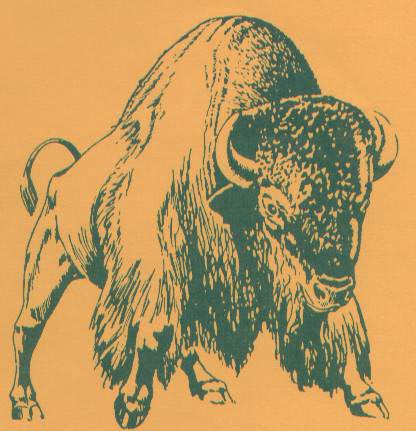 Buffaloes