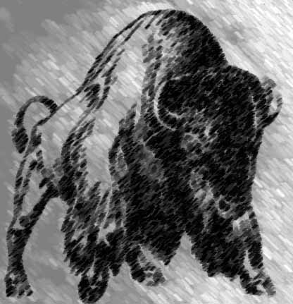 Buffaloes